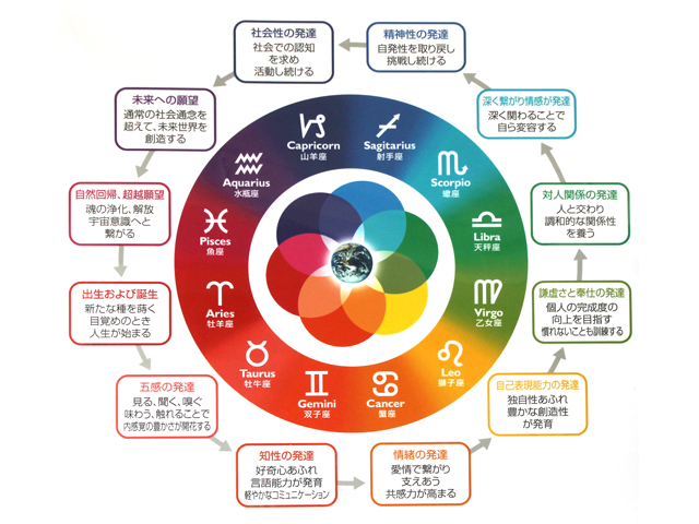 西洋占星術とお茶 アルゴノート